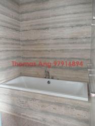 Michaels' Residences (D23), Semi-Detached #91599462